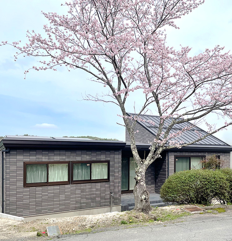立派な桜の木と平屋の家の外観