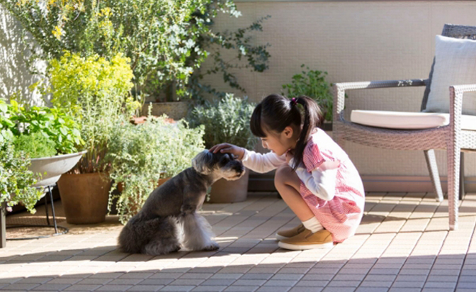 ペットもうれしい庭のある住まい