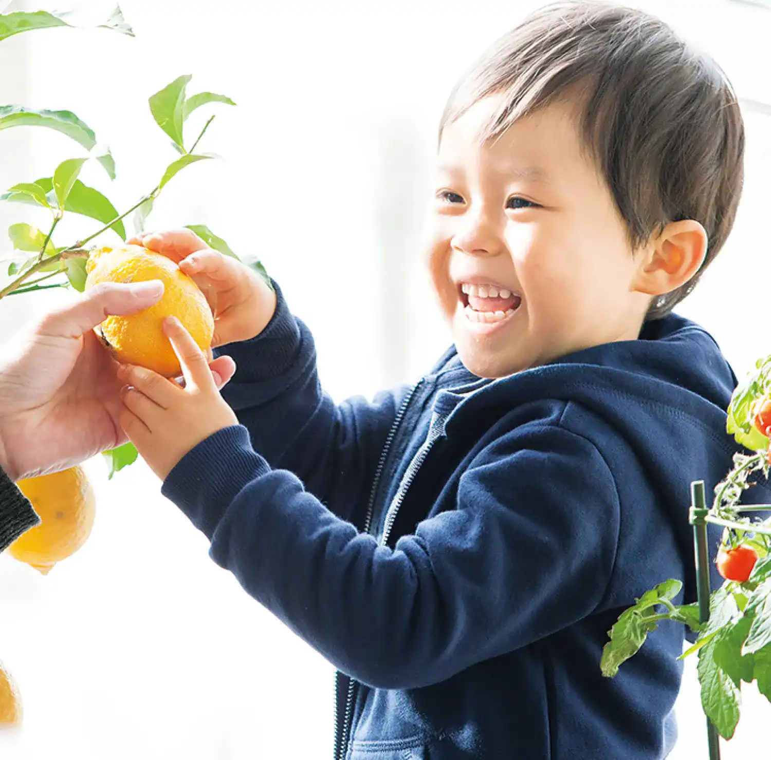 食で育む、「生きる力」と自立心。