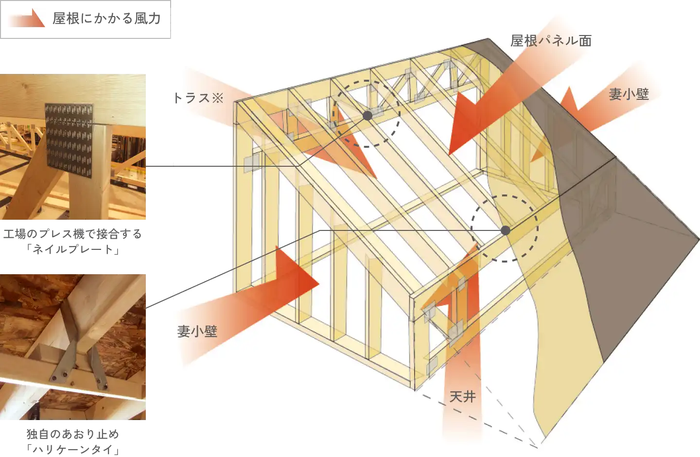 風力に耐えるグランツーユーファイブの屋根の構造