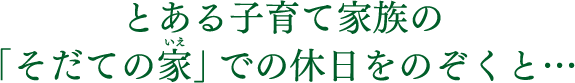 とある子育て家族のそだての家での休日をのぞくと…