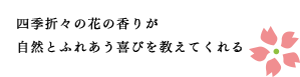 四季折々の花の香りが自然と触れ合う喜びを教えてくれる