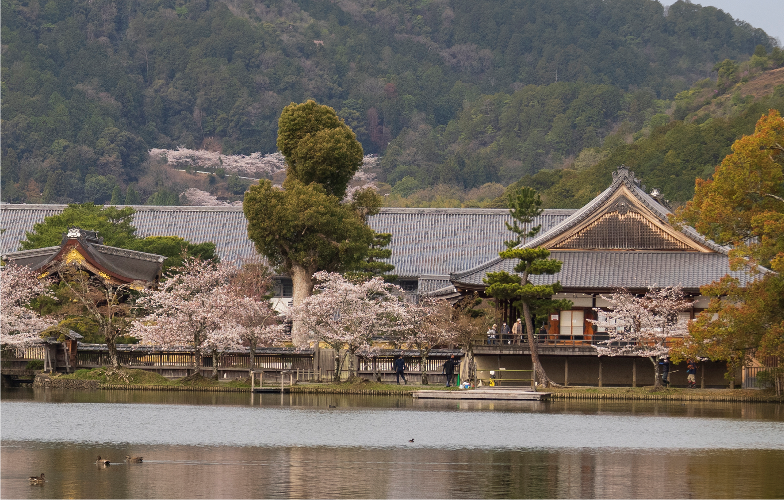 大覚寺