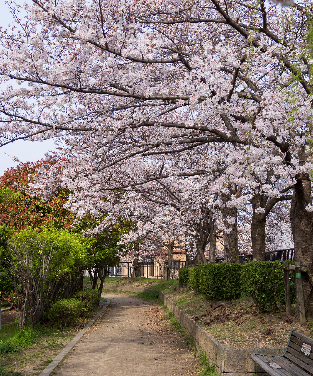 太秦安井公園