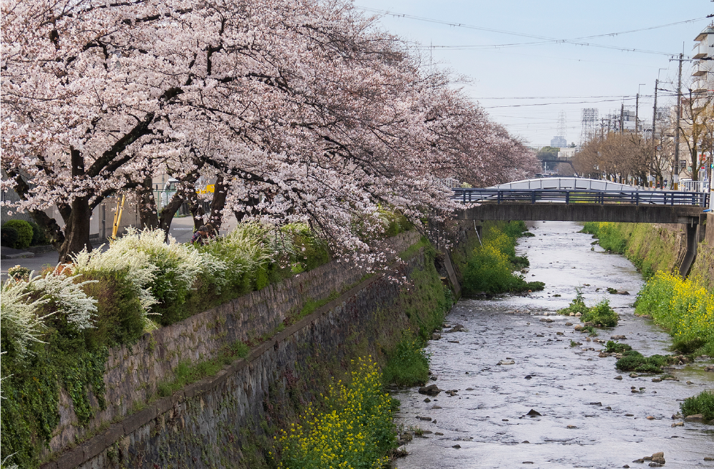 天神川通り