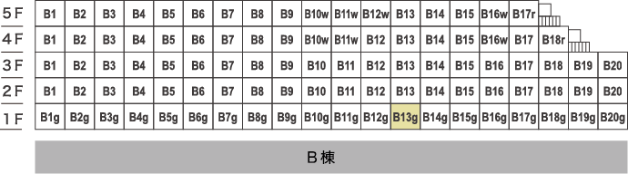 B13g