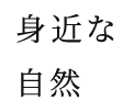 桂川でジョギング