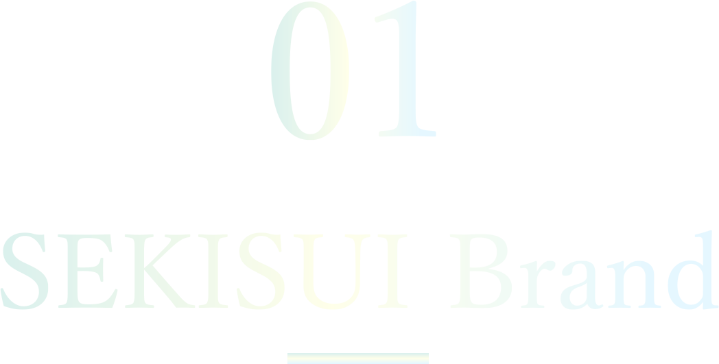 01 SEKISUI Brand