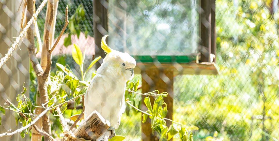 智光山公園（こども動物園）