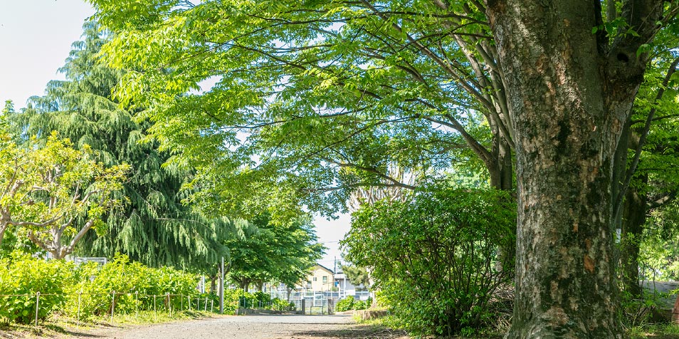 中原公園