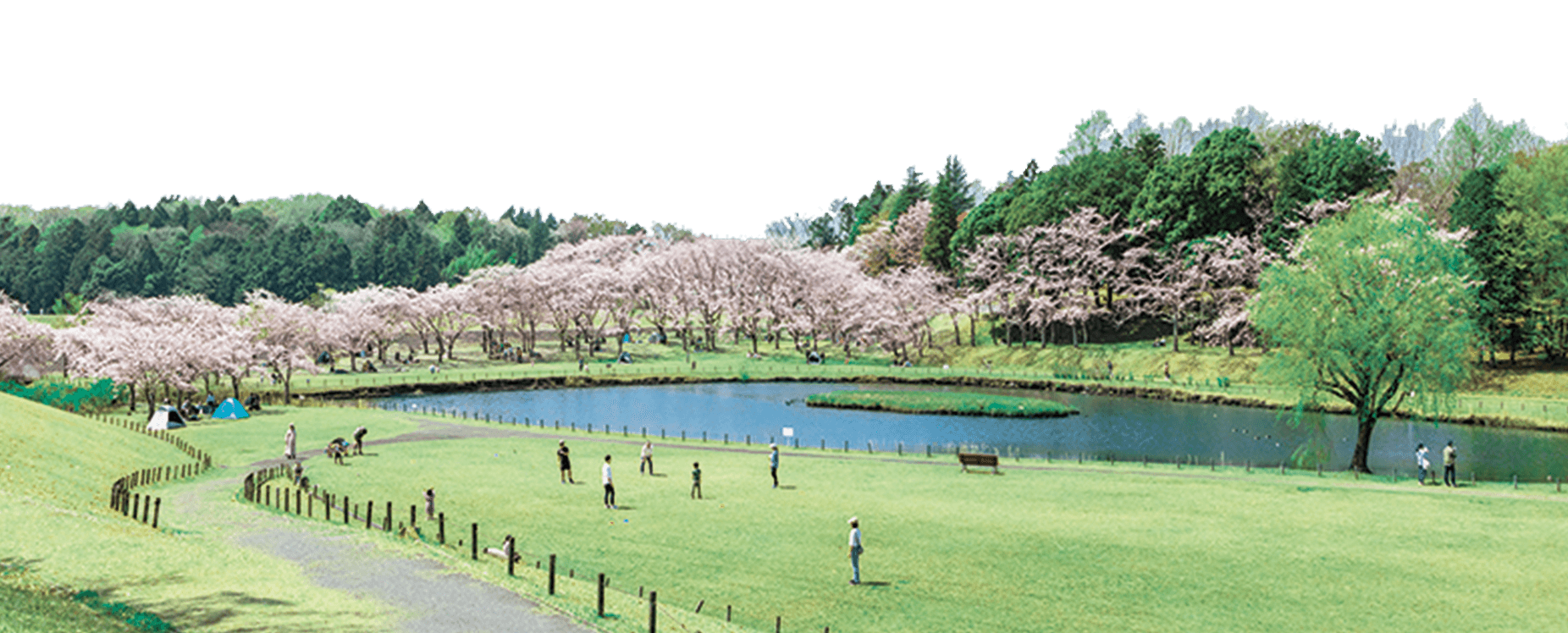 科学万博記念公園