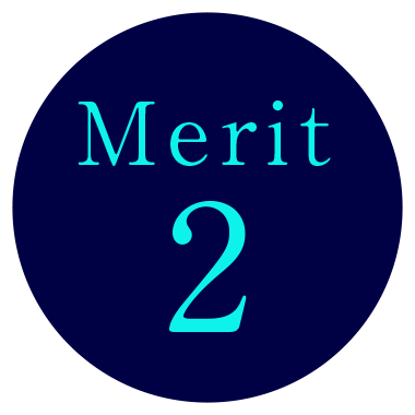 Merit 2